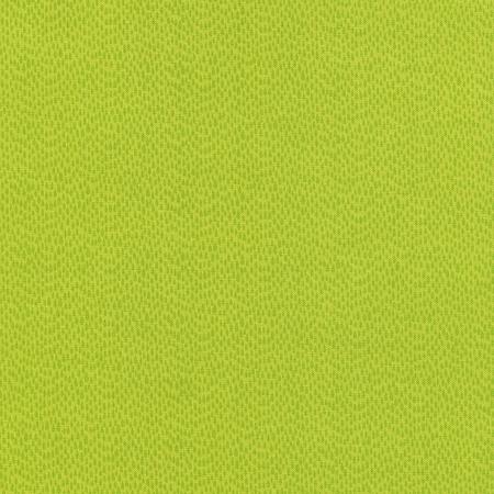 Raindrops - Foxy Owl Collection - C1480-Lime - Timeless Treasures