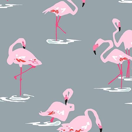 A-7667-C FQ - Flamingoes