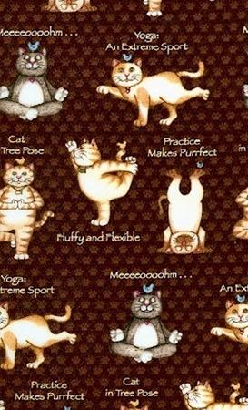 Yoga Pets - Cats - Multicolored on Brown - AJW-12918-16 Brown